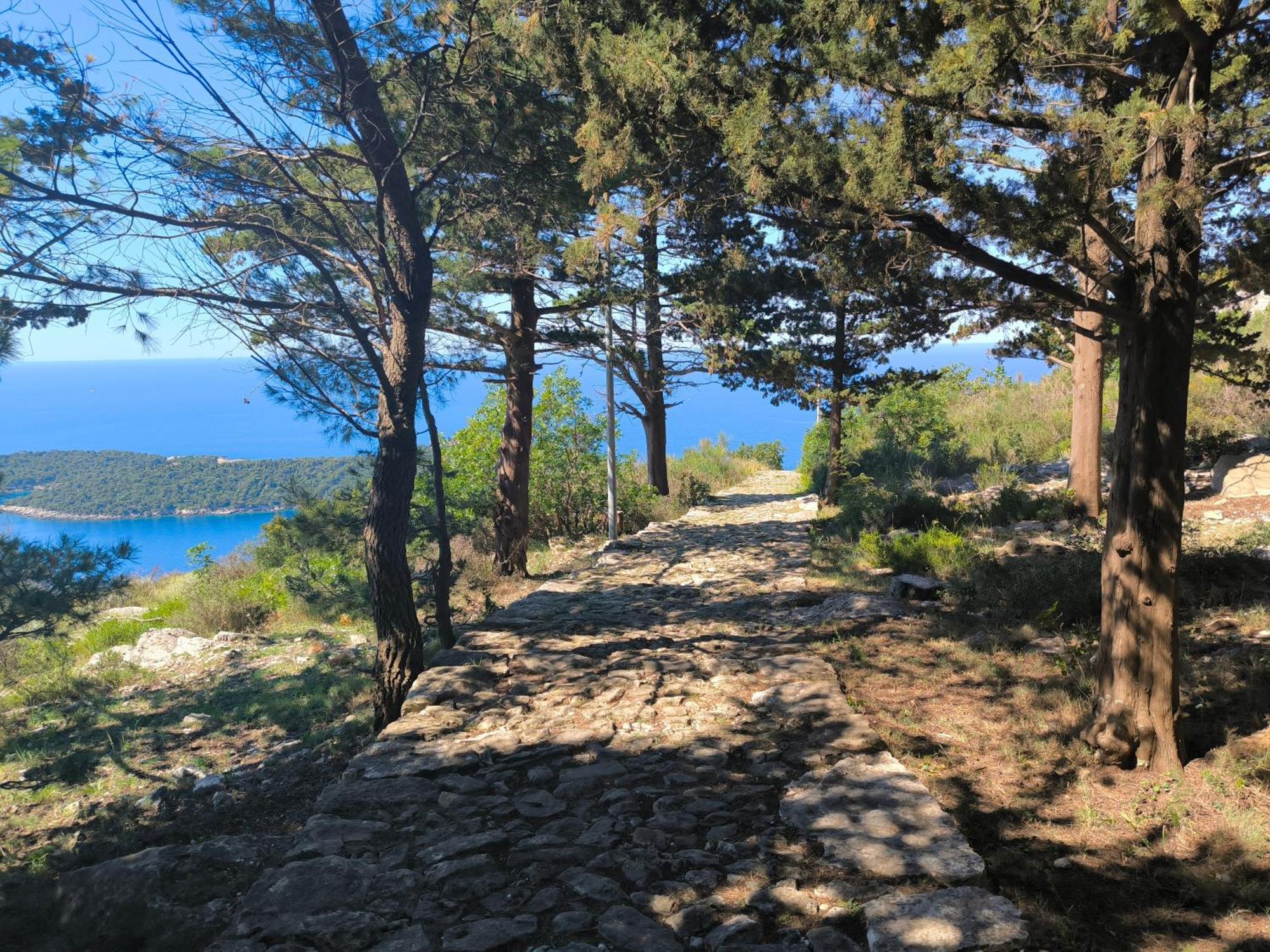 Apartments D&D Dubrovnik Extérieur photo